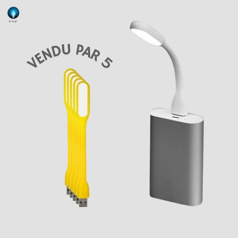 Pack Mini Veilleuses USB | "Brosse à Dent"