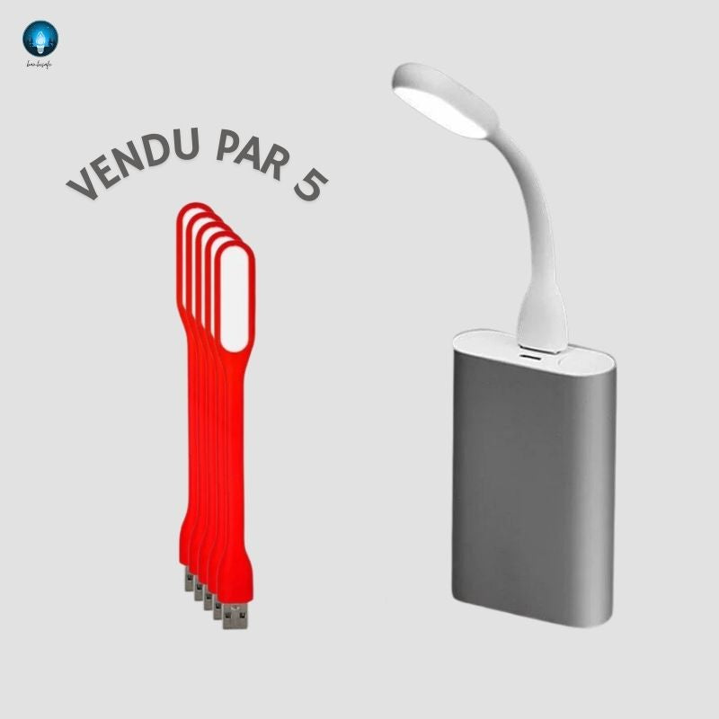 Pack Mini Veilleuses USB | "Brosse à Dent"