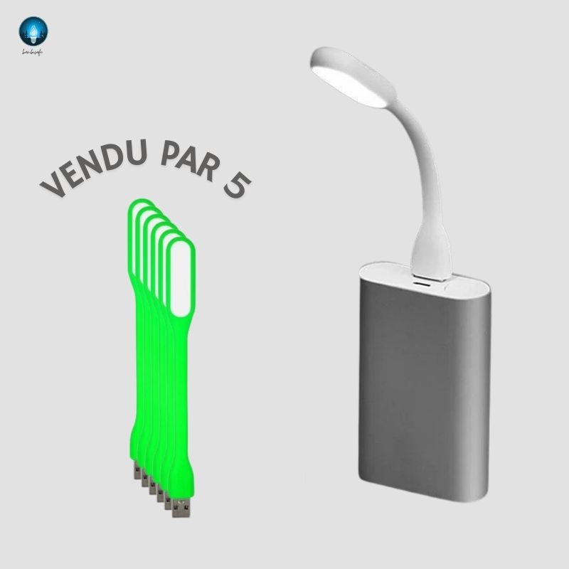 Pack Mini Veilleuses USB | "Brosse à Dent"